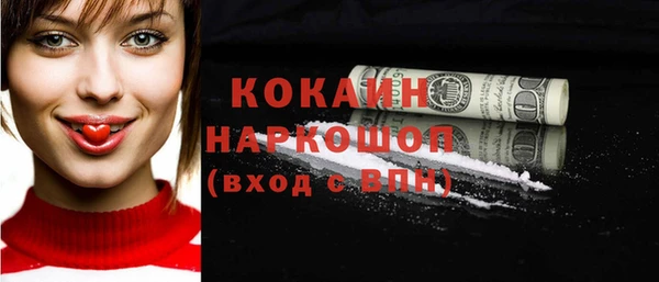 мдпв Карпинск