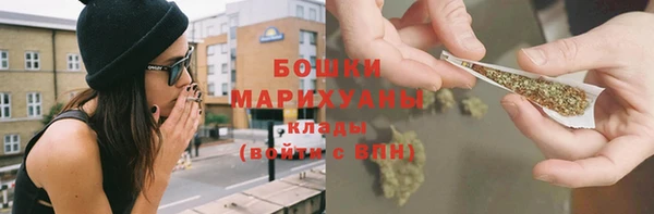 мдпв Карпинск