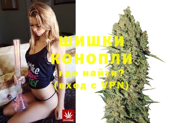 мдпв Карпинск
