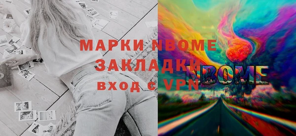 мдпв Карпинск