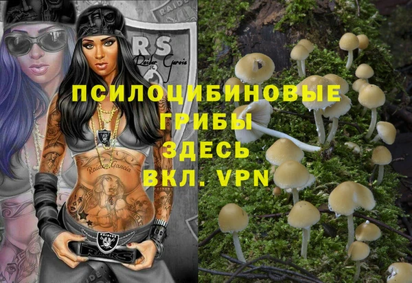 ешки Касимов