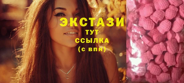 мдпв Карпинск
